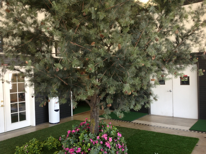 fake tree, greenery, artifical