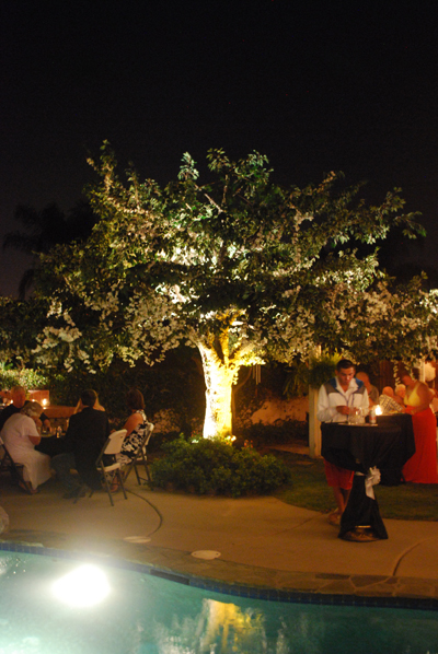 artificial tree, party